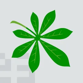 Tatvasoft Software Development India